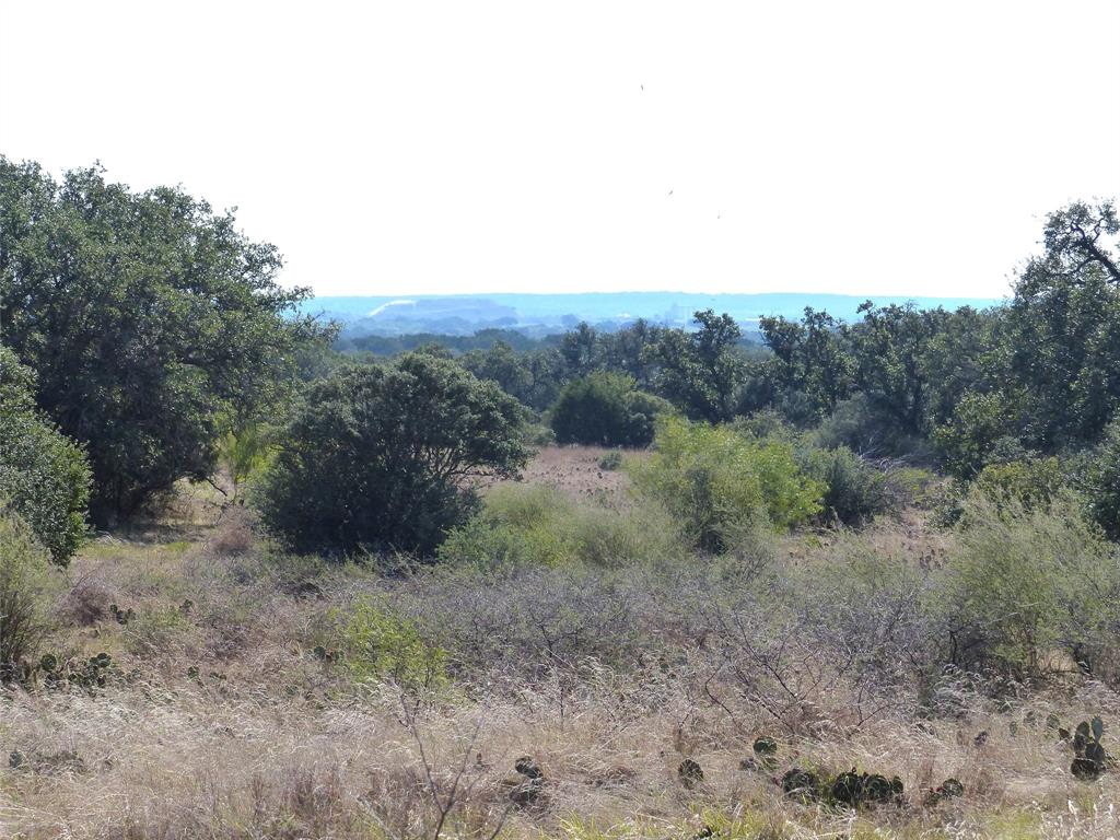 4251 State Hwy 71 - Photo 8