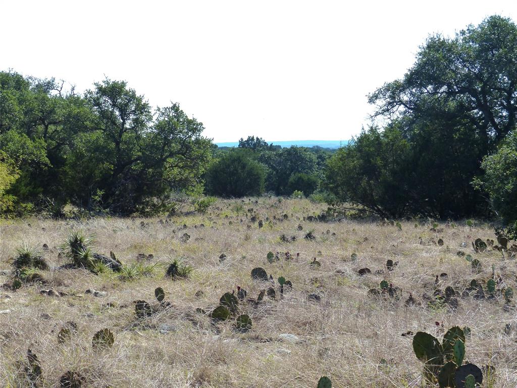4251 State Hwy 71 - Photo 9