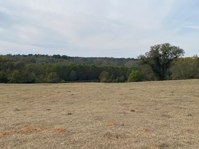 TBD FM 315 - Photo 3