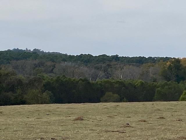 TBD FM 315 - Photo 4
