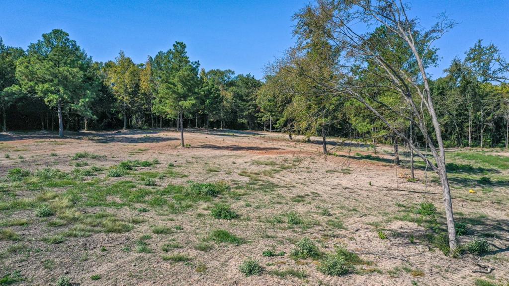 TBD County Road 2805 - Photo 13