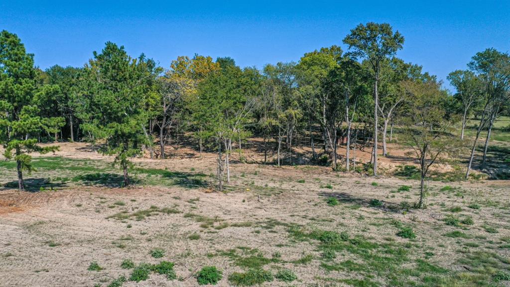 TBD County Road 2805 - Photo 8