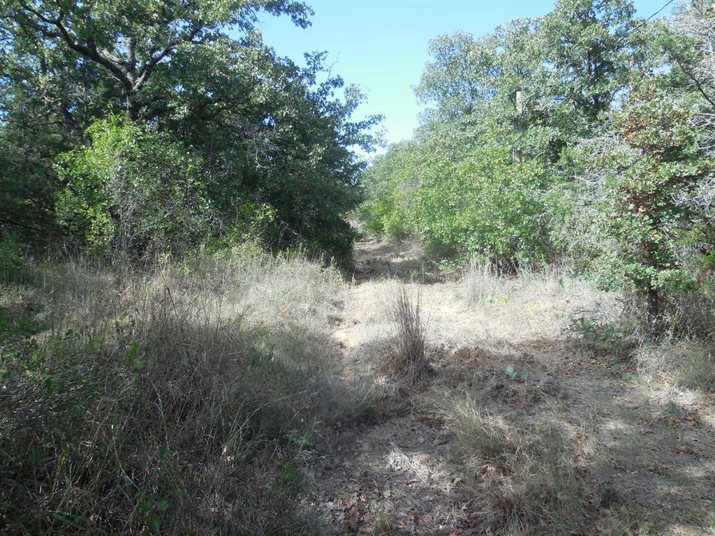 TBD CR 232 - Photo 13