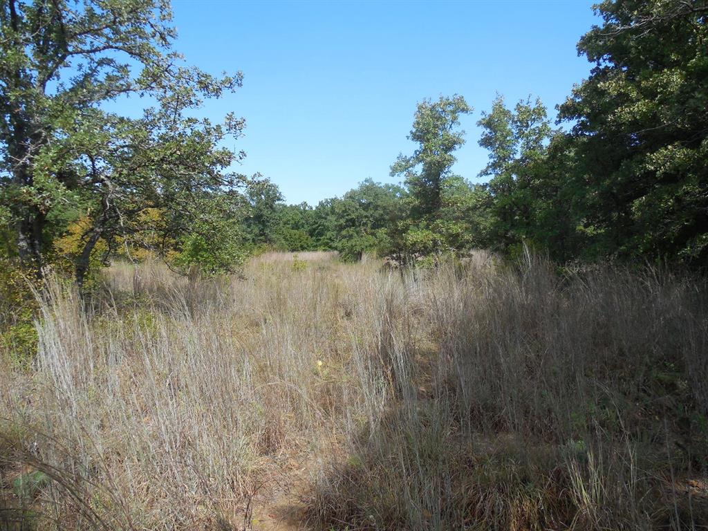 TBD CR 232 - Photo 14