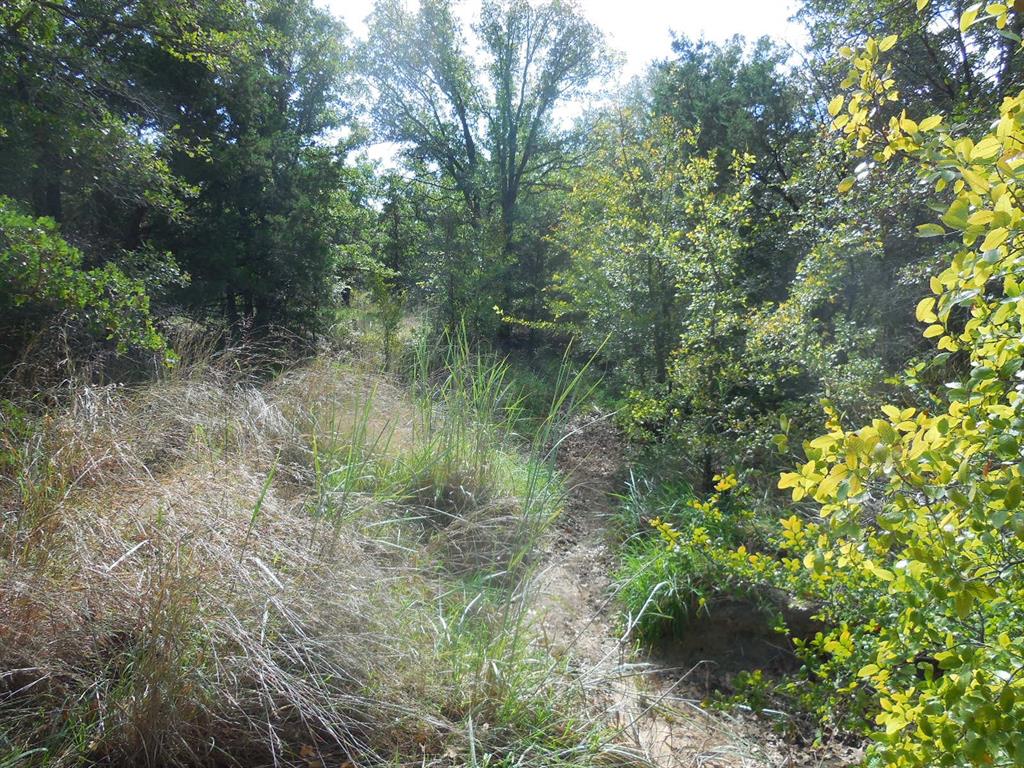 TBD CR 232 - Photo 15