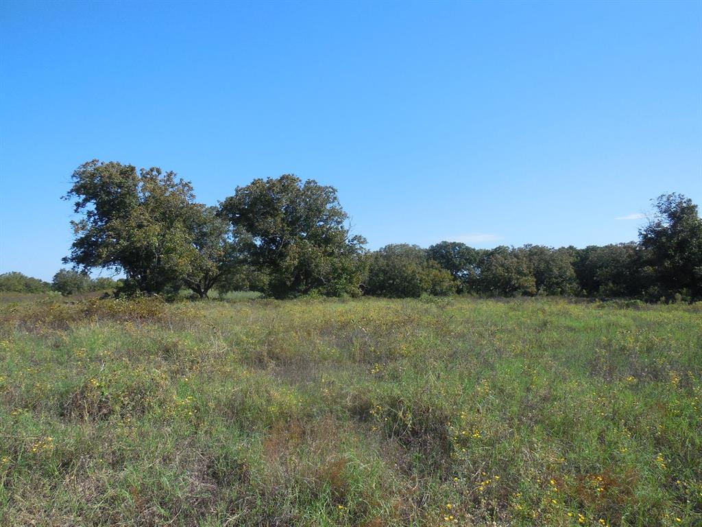 TBD CR 232 - Photo 5