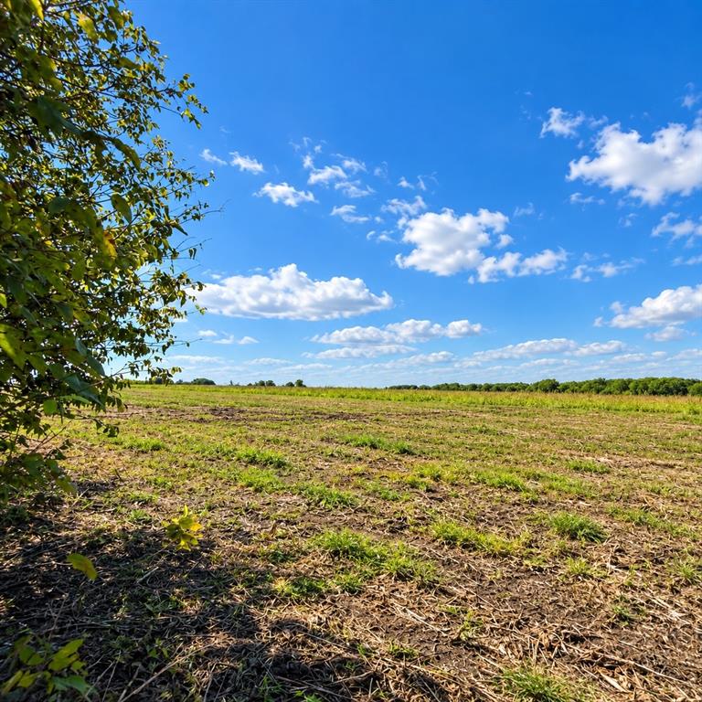 Lot 1 Morgan Road - Photo 5