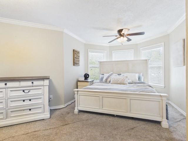 815 Lucas Drive - Photo 26