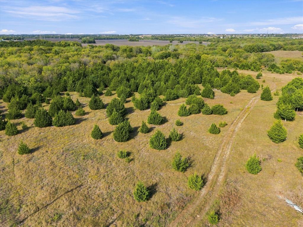 TBD Hightower Lane - Photo 12