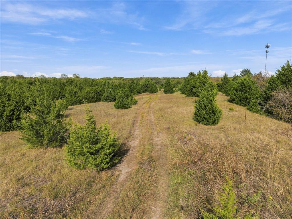 TBD Hightower Lane - Photo 19