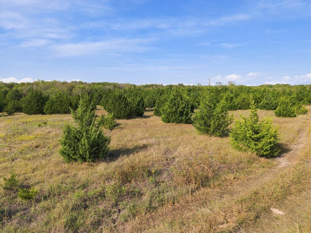TBD Hightower Lane - Photo 20
