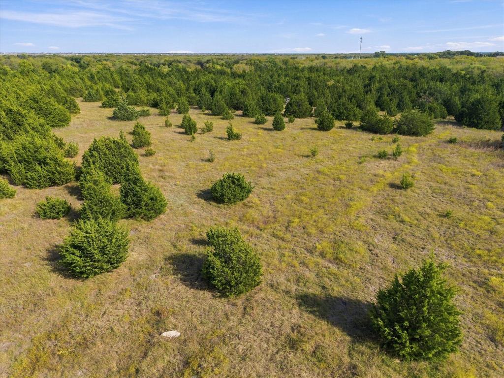 TBD Hightower Lane - Photo 8
