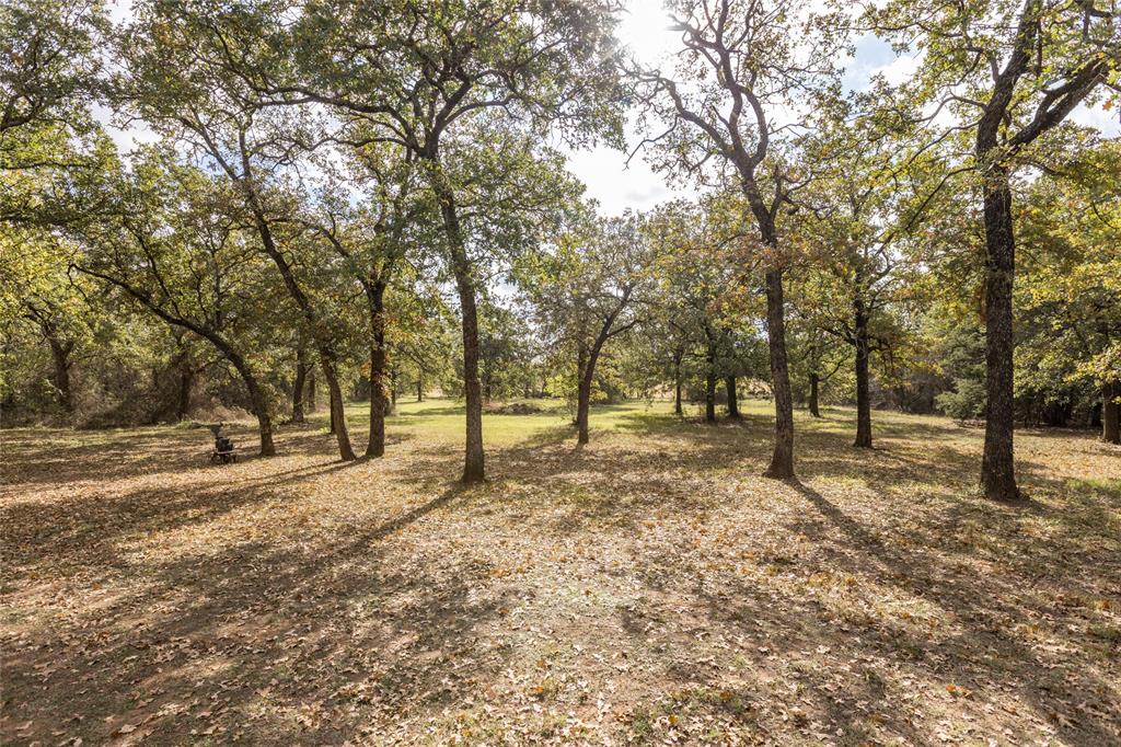 5415 County Road 605 - Photo 12