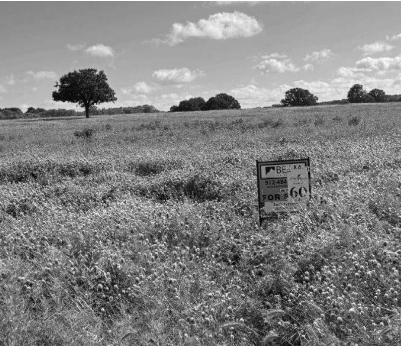 Lot 60 Buffalo Lane - Photo 2
