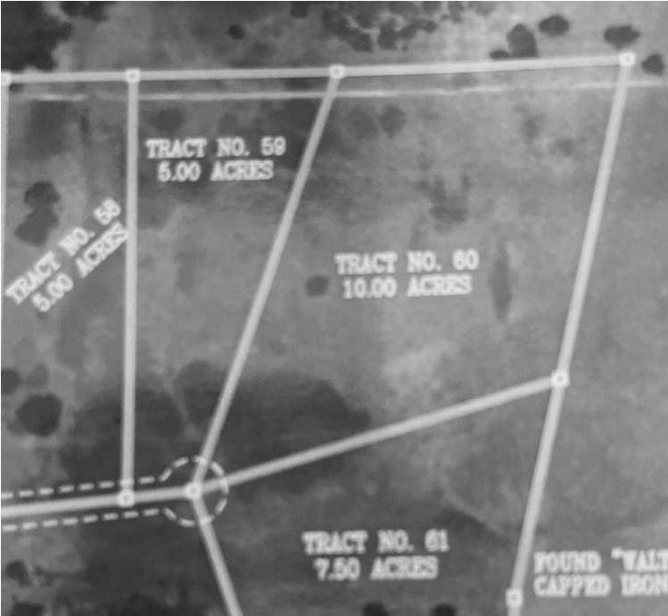 Lot 60 Buffalo Lane - Photo 3