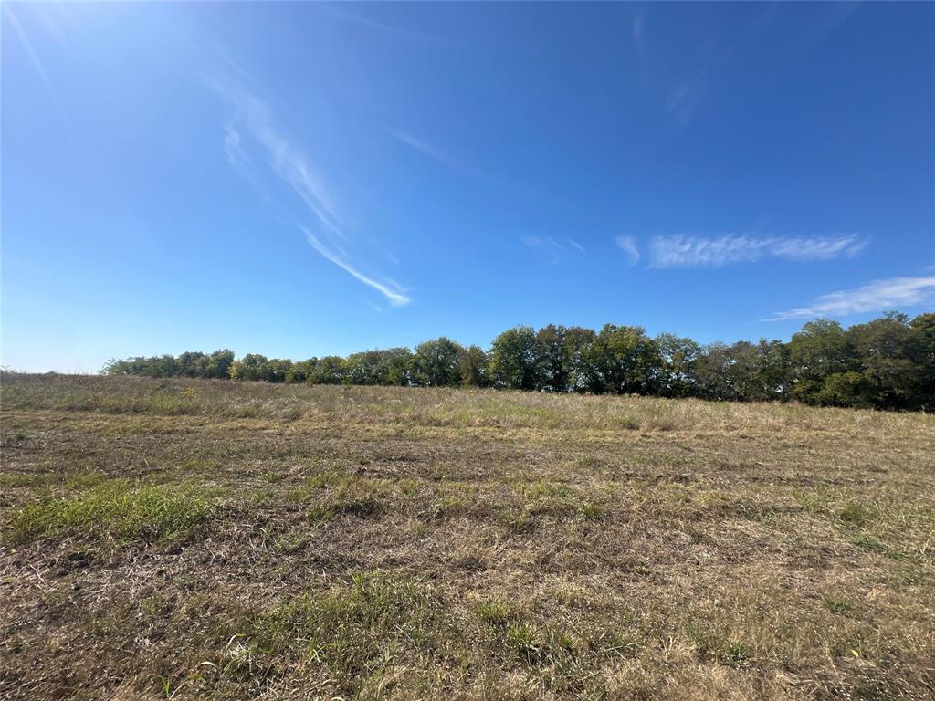 1625 Fm 904 S - Photo 1