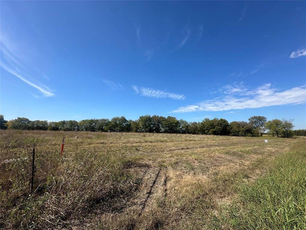 1625 Fm 904 S - Photo 3