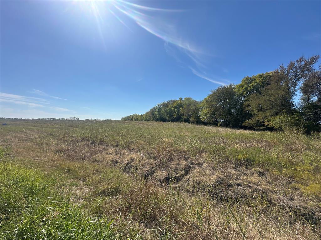 1625 Fm 904 S - Photo 4