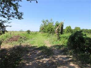 00 CR 129 Road - Photo 3