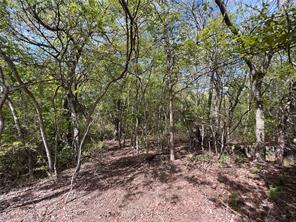 153 Suzanne Drive - Photo 3