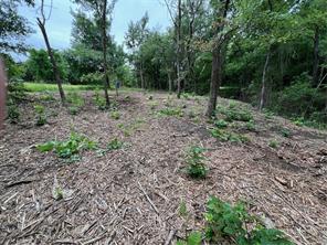 153 Suzanne Drive - Photo 7