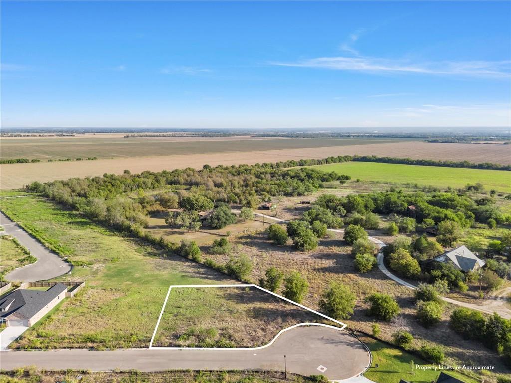 9801 Bridlewood Lane - Photo 1