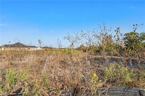 9801 Bridlewood Lane - Photo 3