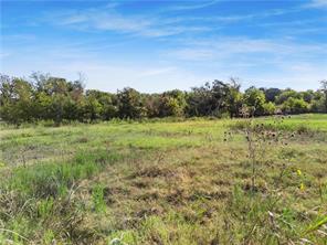 10912 Granada Drive - Photo 2