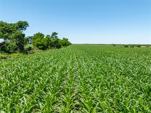 tbd Cr 451 - Photo 17