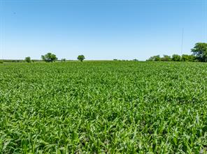 tbd Cr 451 - Photo 18