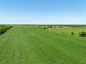 tbd Cr 451 - Photo 19