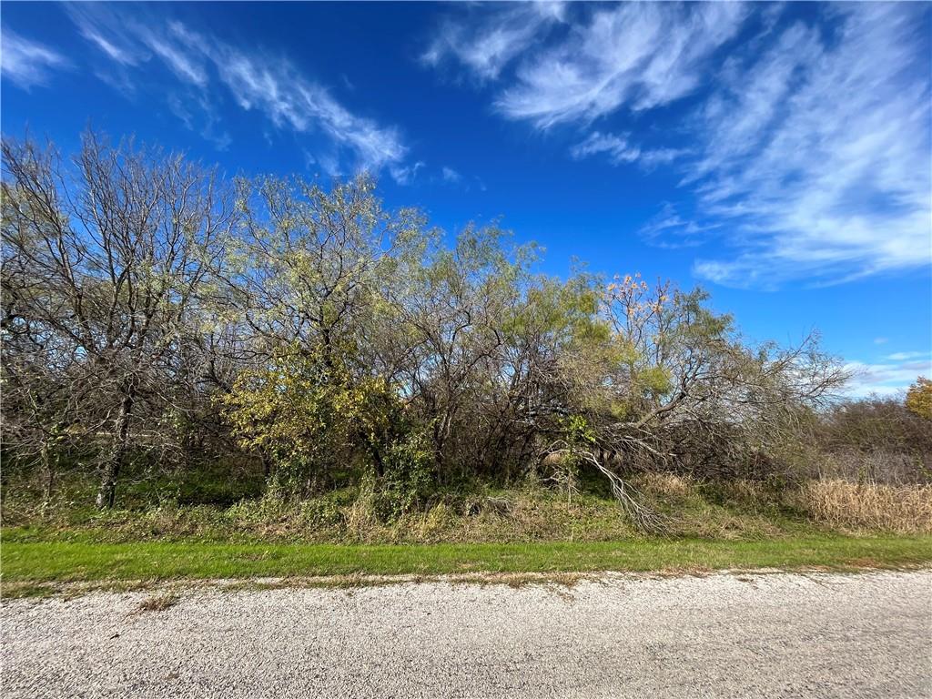 23030 Westmeadow Drive - Photo 1