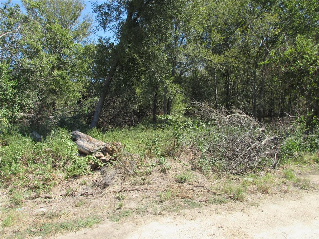 0 CR 2872 Street - Photo 1
