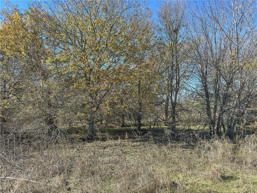 TBD Tract 2 Talbert Ranch Road - Photo 45