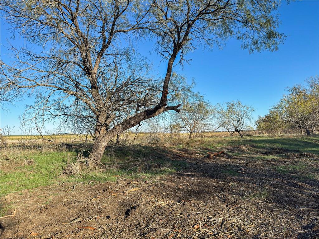 TBD Tract 4 Talbert Ranch Road - Photo 28