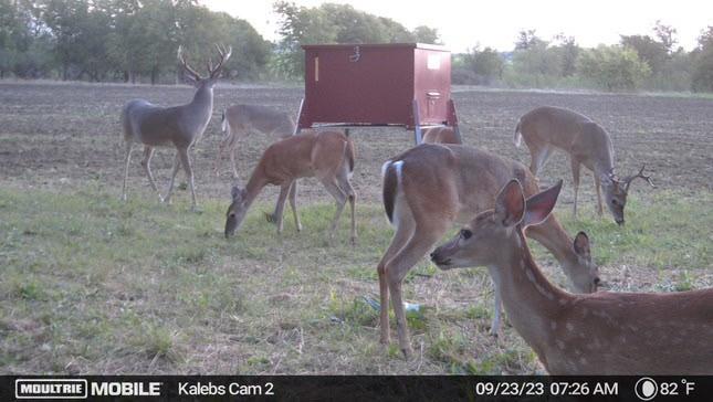 TBD Tract 6 Talbert Ranch Road - Photo 24