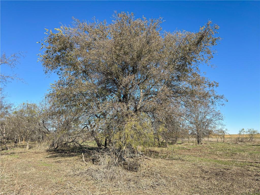 TBD Tract 8 Talbert Ranch Road - Photo 18