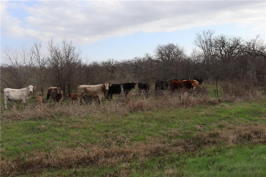 4202 S FM 339 - Photo 25