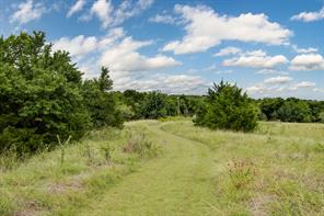 TBD Tract#12, PR 350 - Photo 10