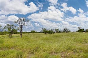TBD Tract#12, PR 350 - Photo 9